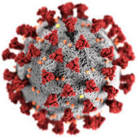2019 Novel Coronavirus